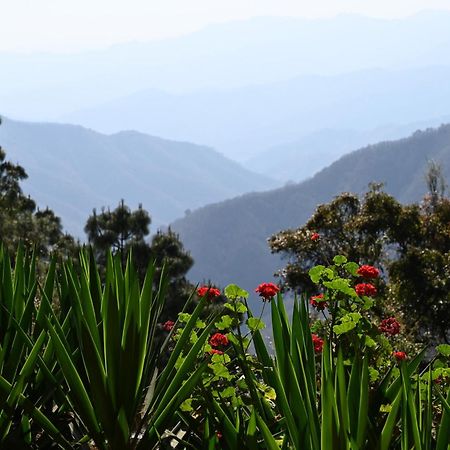 San Jose Del Pacifico- Cabanas Camino Al Cielo 3 Екстериор снимка