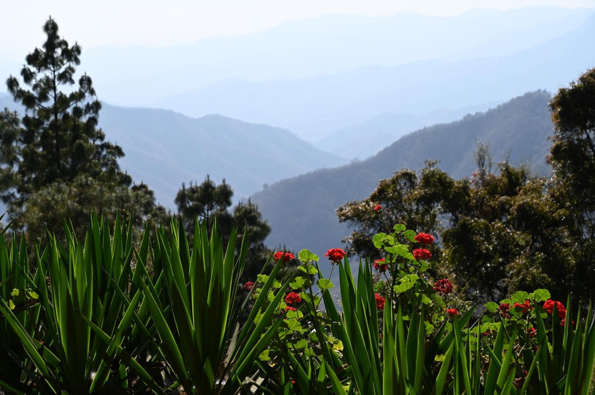 San Jose Del Pacifico- Cabanas Camino Al Cielo 3 Екстериор снимка